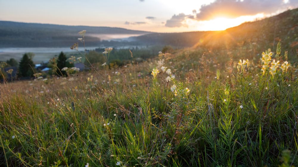 Photograph by Светлана Пономаренко