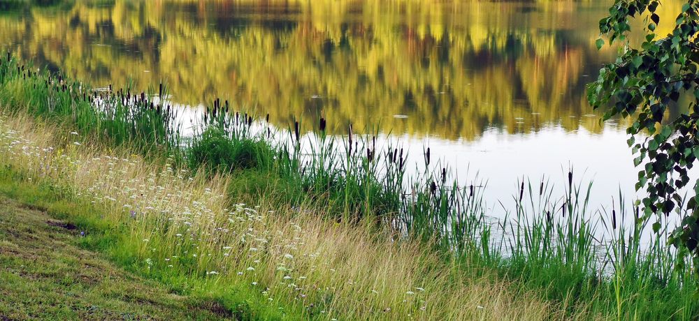 Photograph by Ирина Костарева