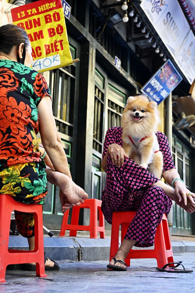 Photograph by Tú Lê Ngọc