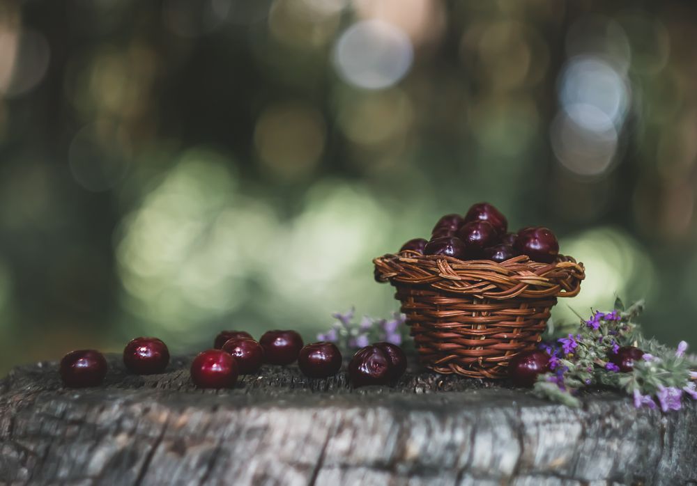 Cherries in a basket