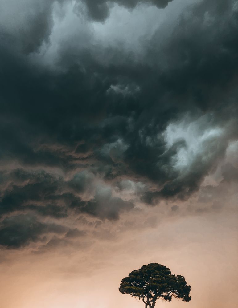 Фотография автора Igor Lypnytskyi