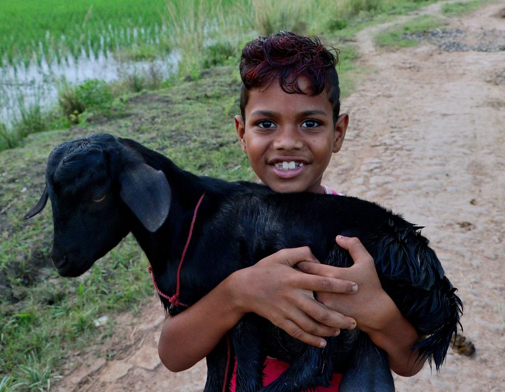 Фотография автора Abhijit Mukherjee