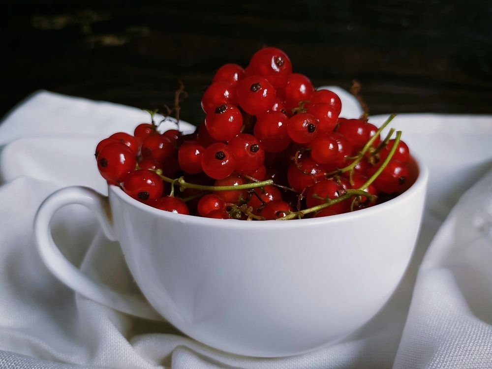 Photograph by Ирина Половцева