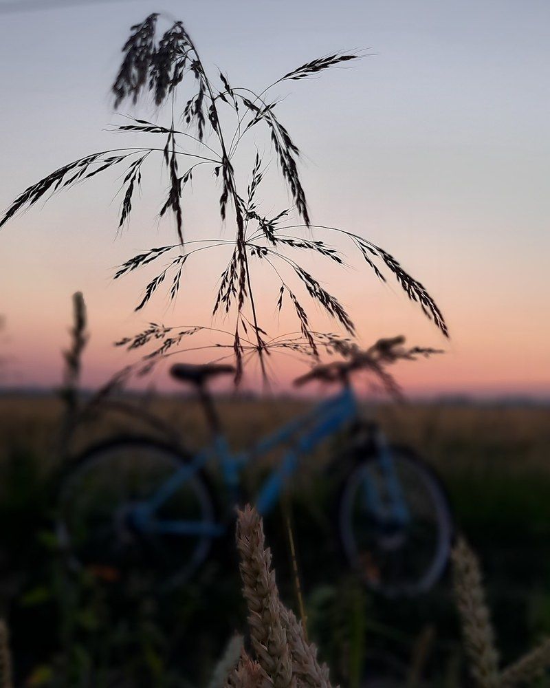 Photograph by Ольга