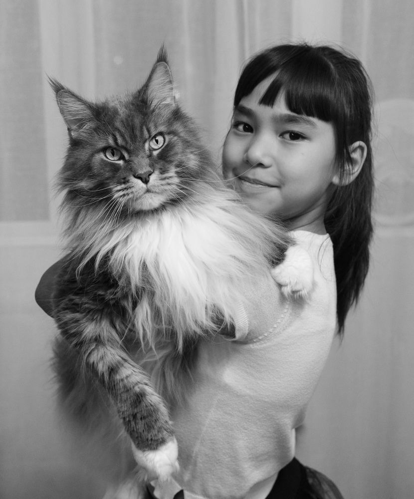 Фотография автора Елена