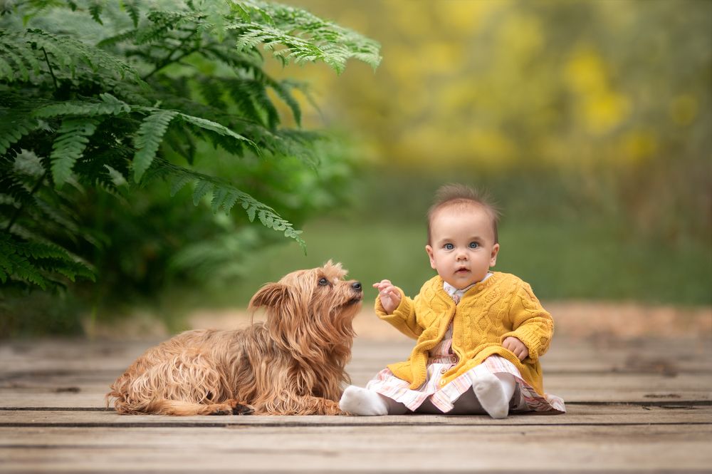 Photograph by Daniel Baksza