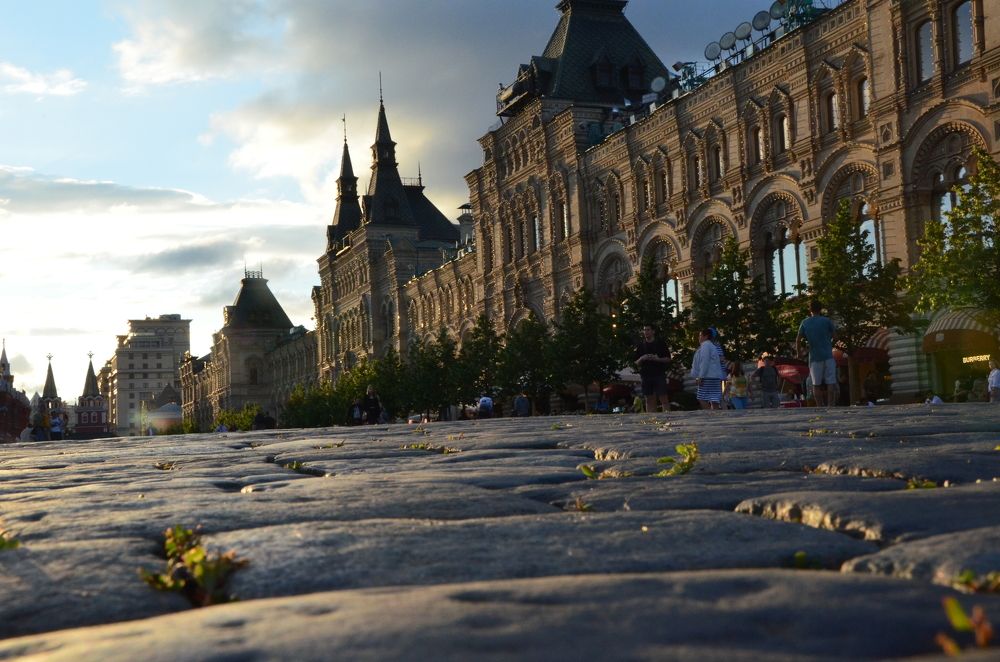 Новый росток жизни