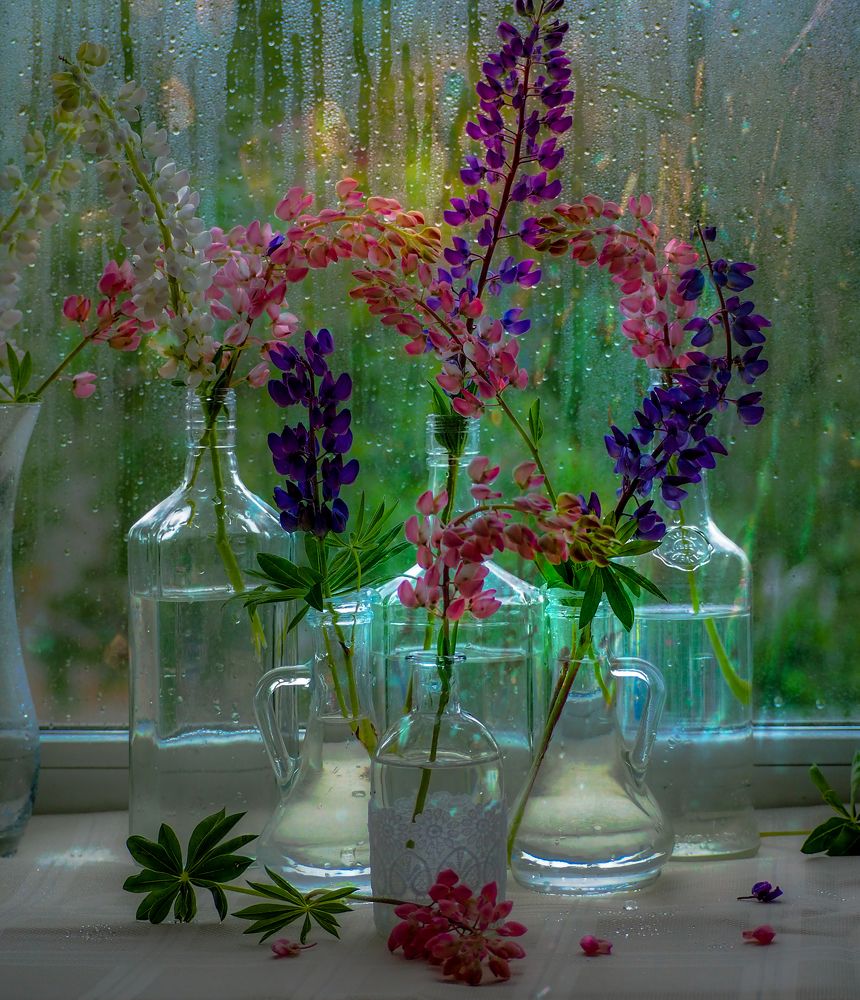 Фотография автора Olena Vorotyntseva