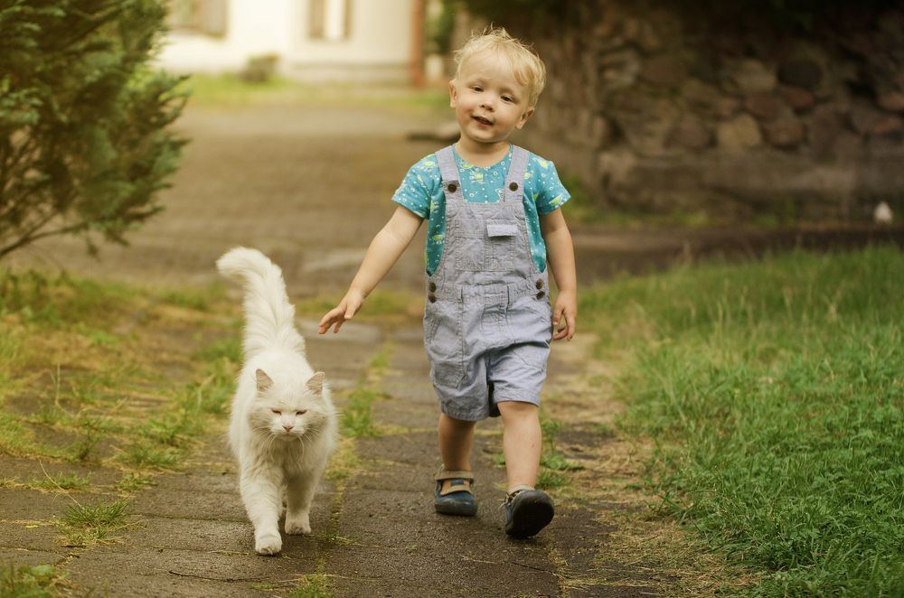 Photograph by Renata Nedzveckaite