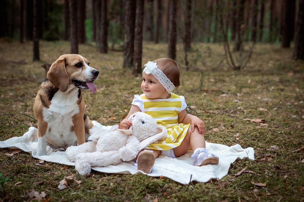 Photograph by Renata Nedzveckaite