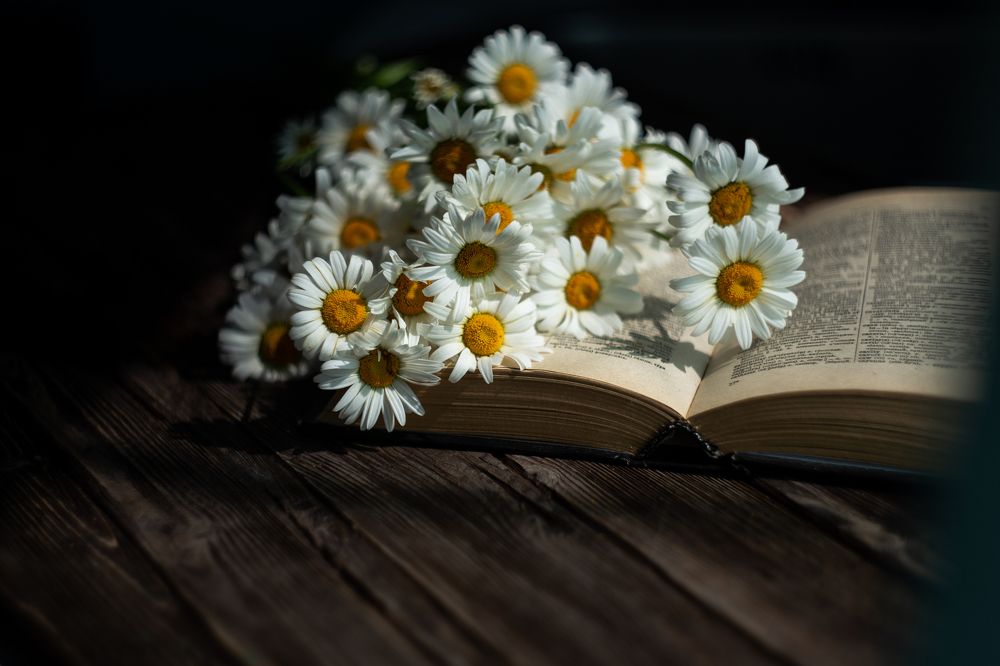 Photograph by Натали Чалык