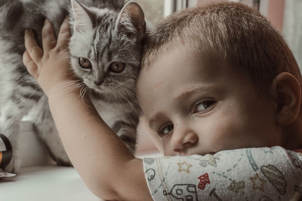 Photograph by Таисия Стафеева