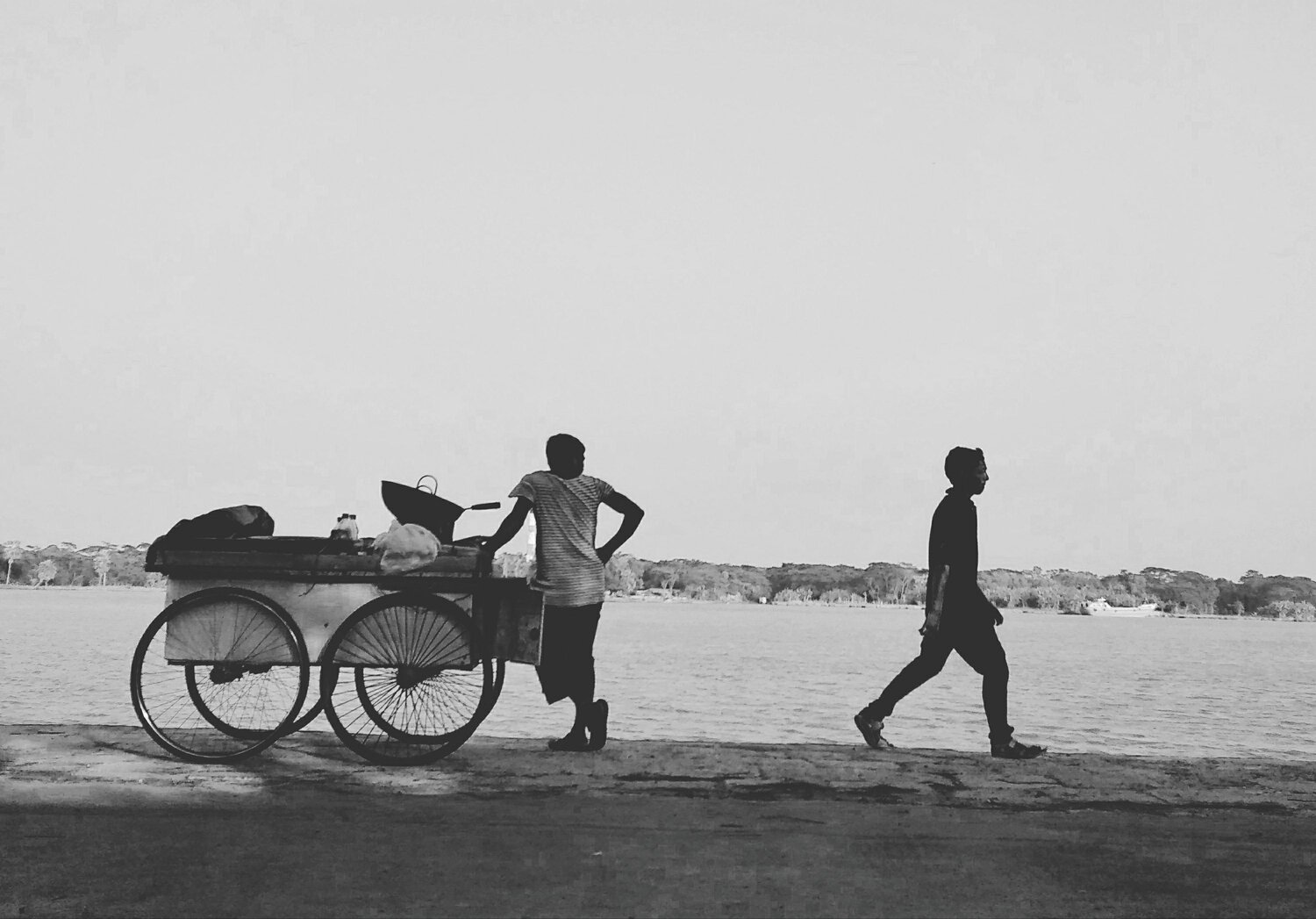 Photo #6377833