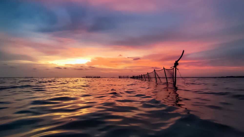 Photograph by Senthilselvan Kirushanth