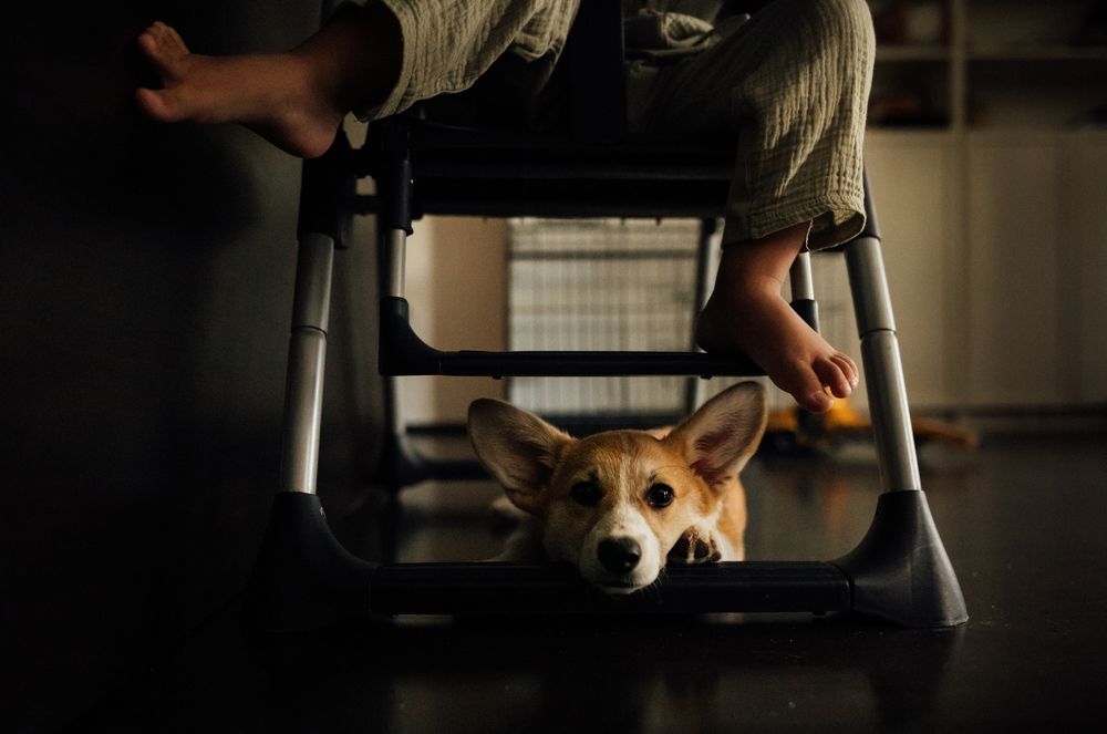 Photograph by Анастасия Симеонова