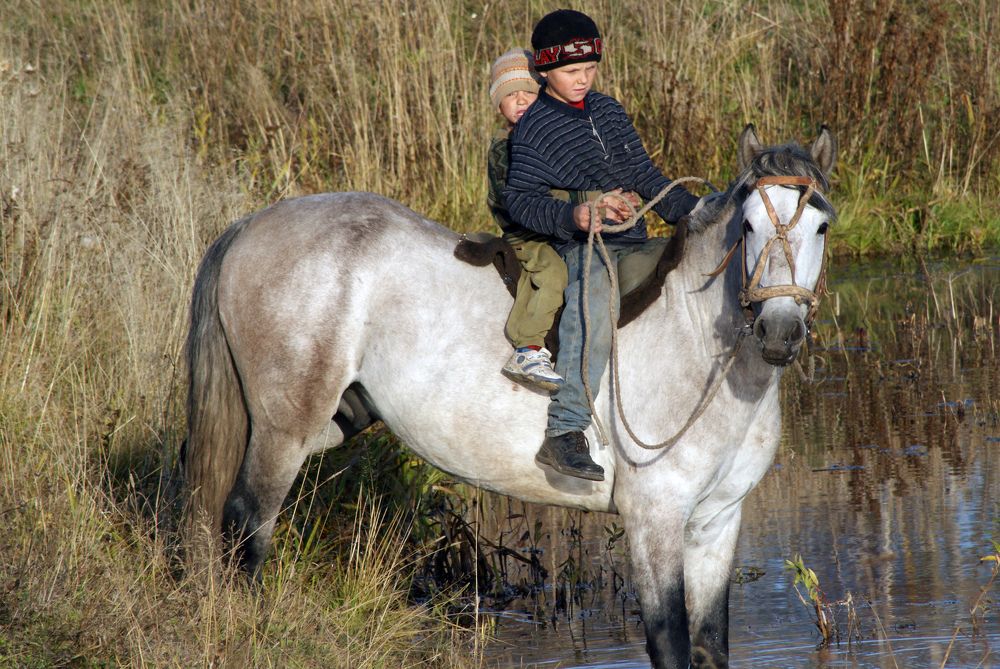 Photograph by Дмитрий Лобанов