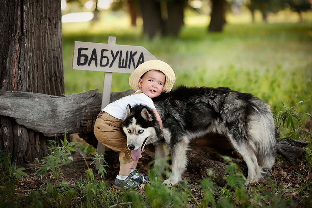 Photograph by Раевская Елена