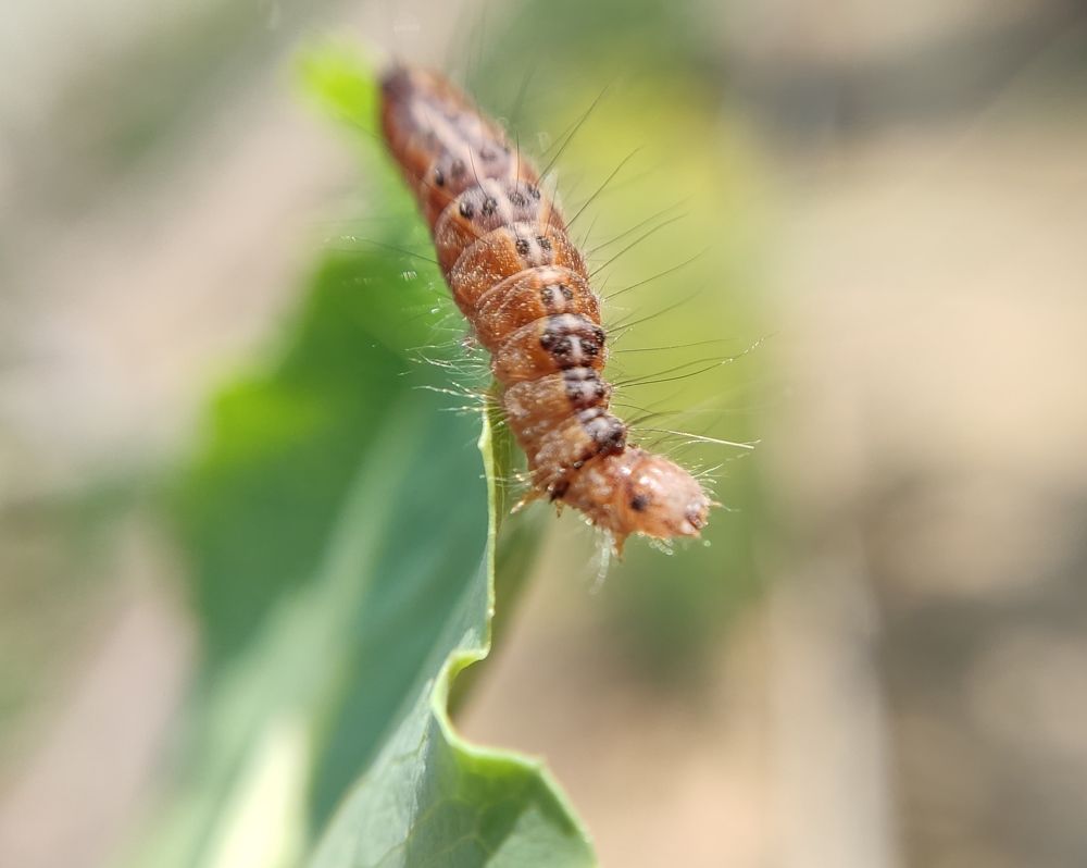 Фотография автора Станислав Ермолин