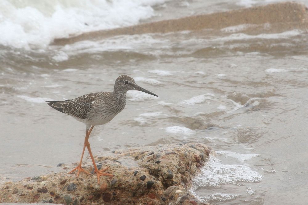 Photograph by Barbara