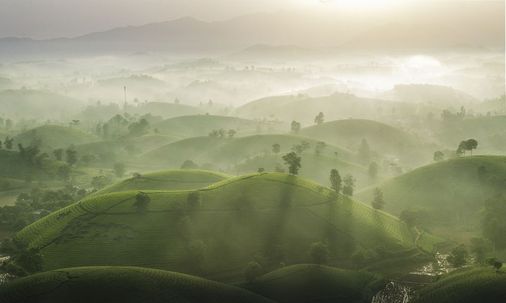 Photograph by Sky Hunter Duy Quang