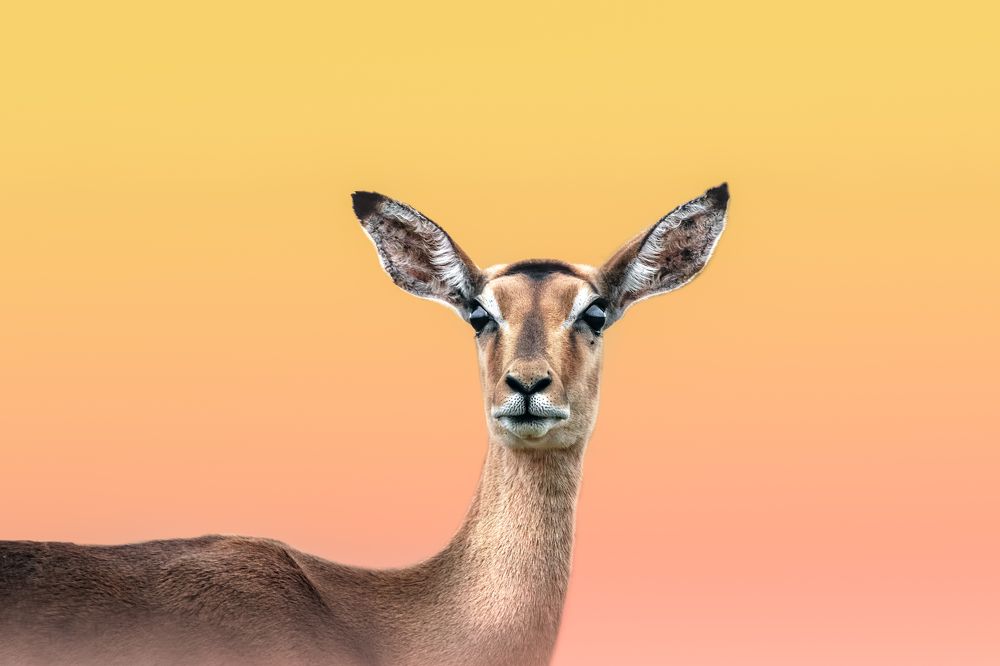 Photograph by Melanie Delamare