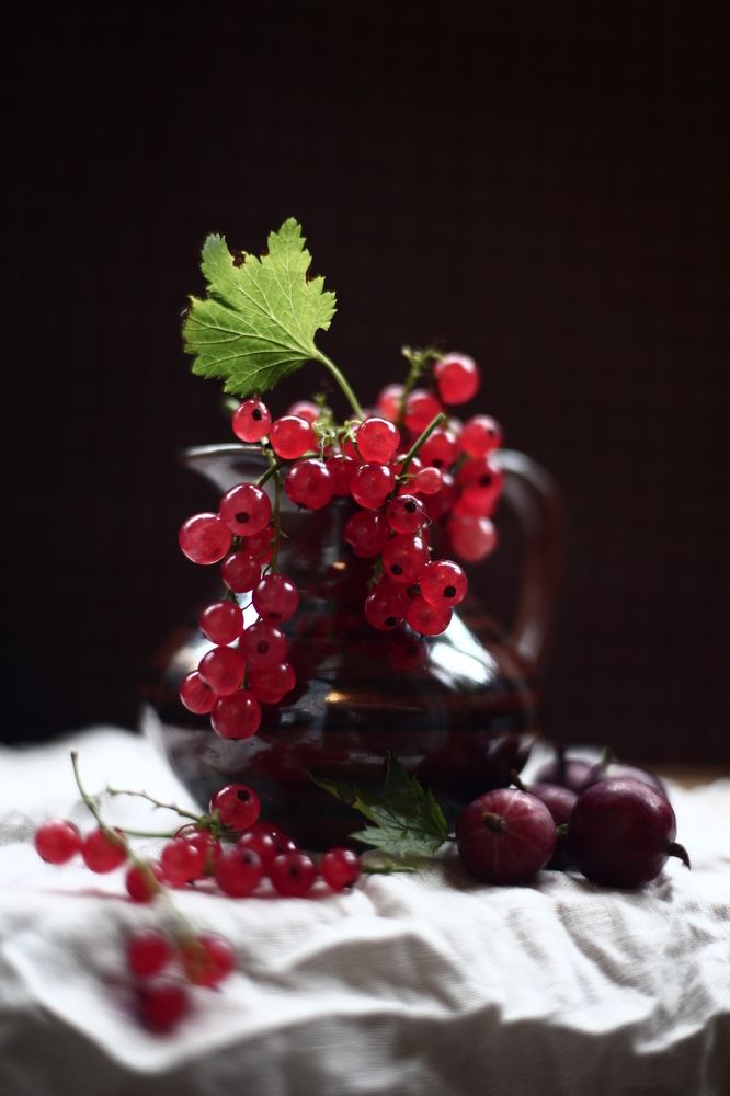 Photograph by Milla Luca