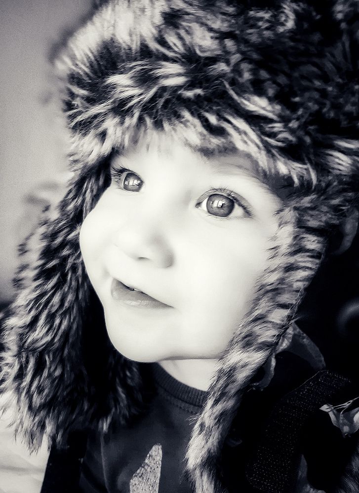 Photo #6378157