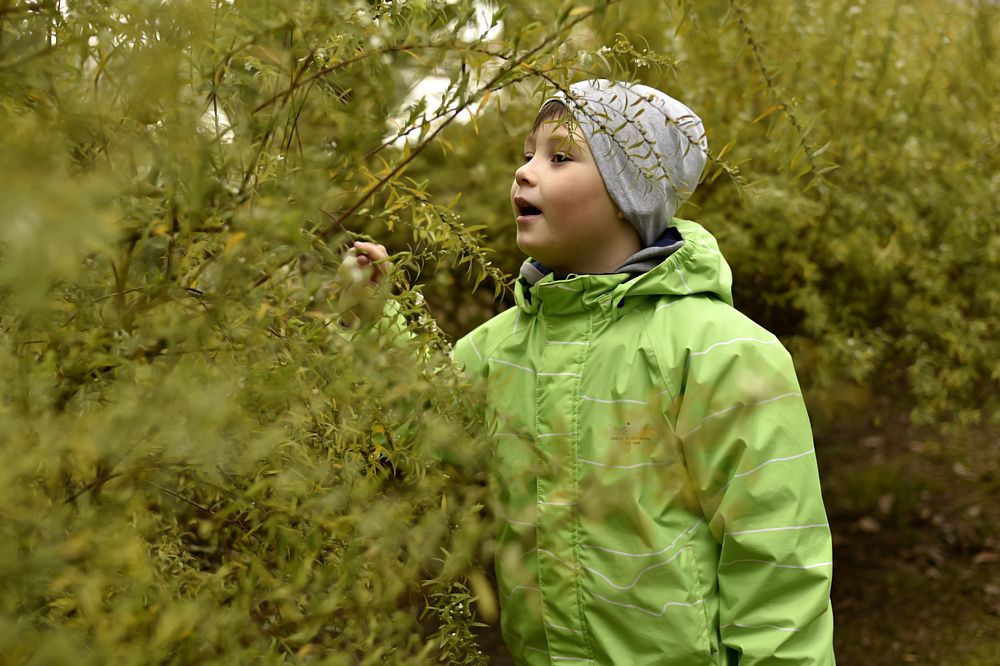 Ароматы весны