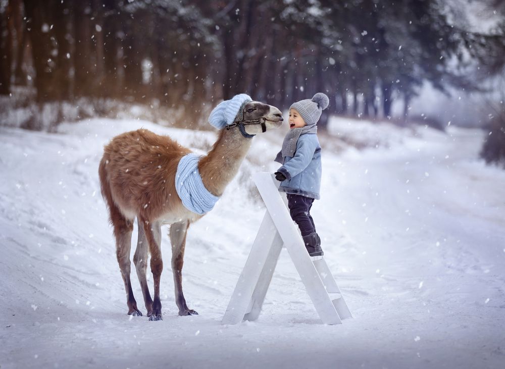 Фотография автора Катерина Лебедева