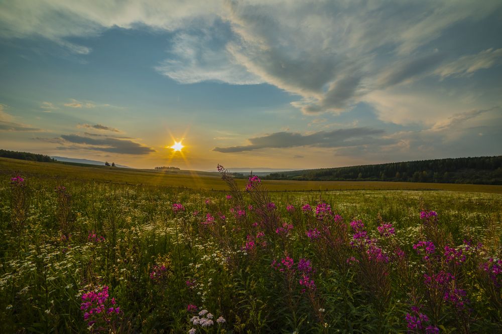 Photograph by Елена Перминова