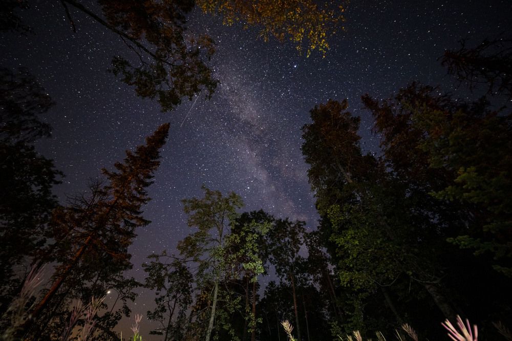 Photograph by Елена Перминова