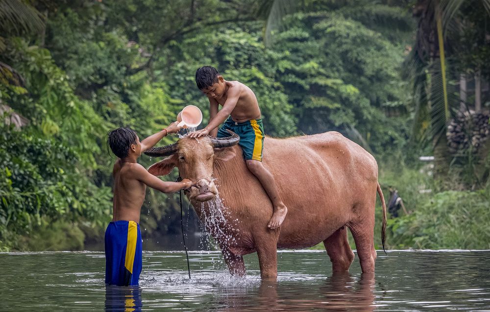 Photograph by Lugyanti Sukrisman