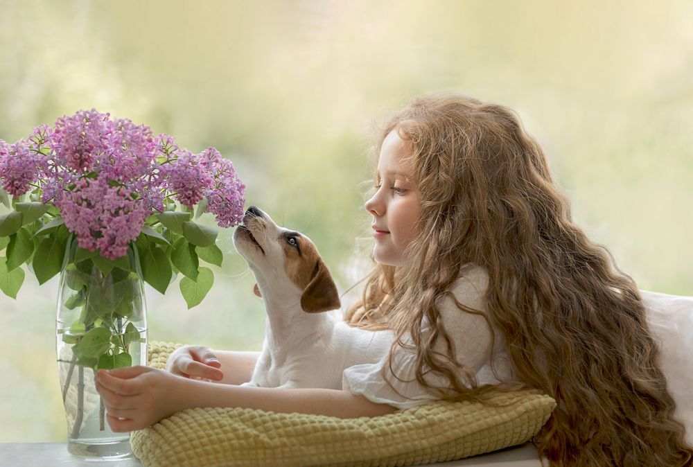 Фотография автора Юлия Евстратенко