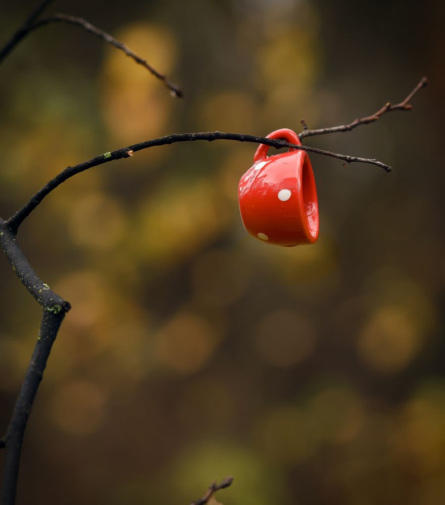 Photograph by Анна Рудометова