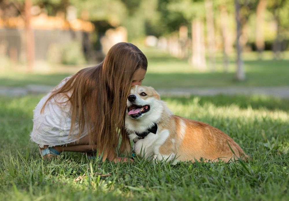 Photograph by Монакова Ольга