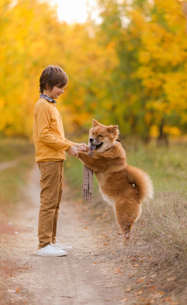 Photograph by Монакова Ольга