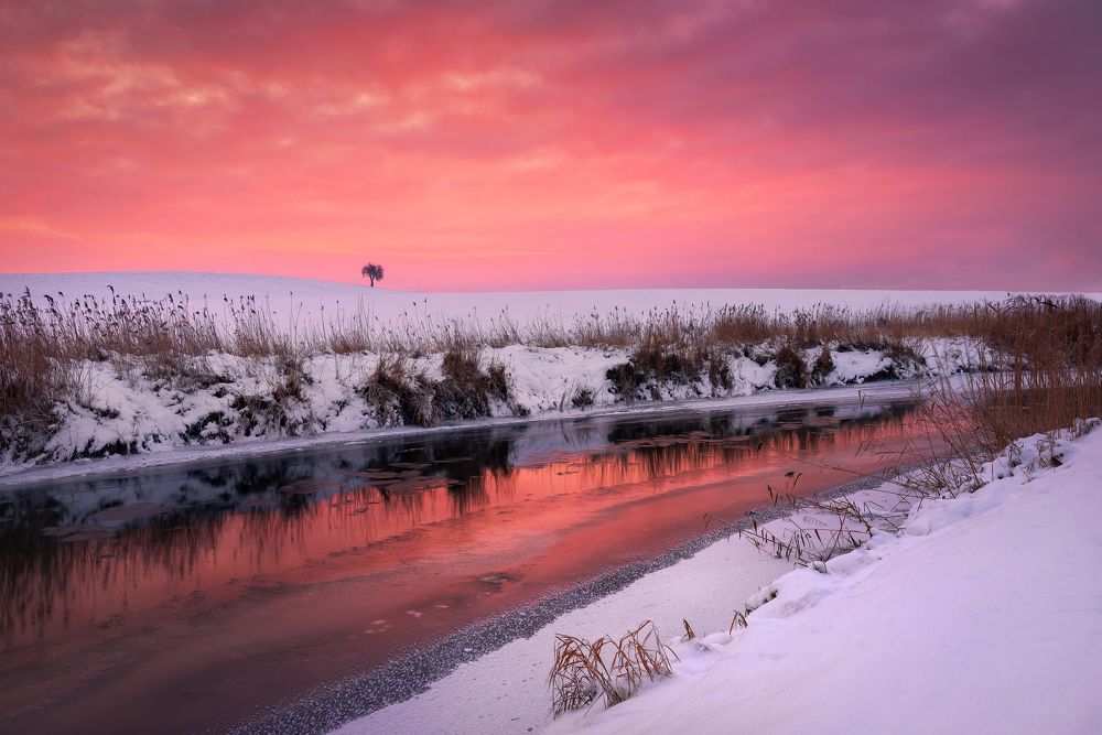 Photograph by Katarzyna Bochniak