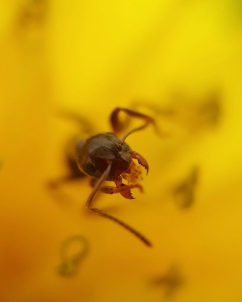 Photograph by Евгения Синкина