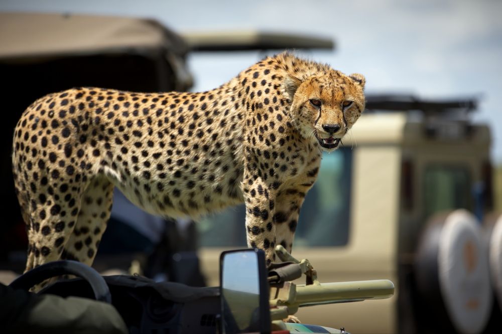 В центре внимания