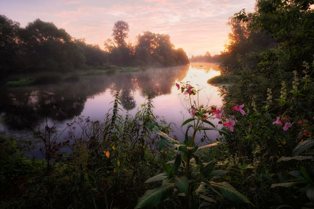 Где-то за городом