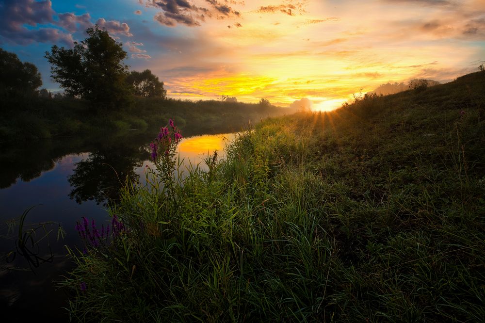 И солнца свет, взрастит букет .....