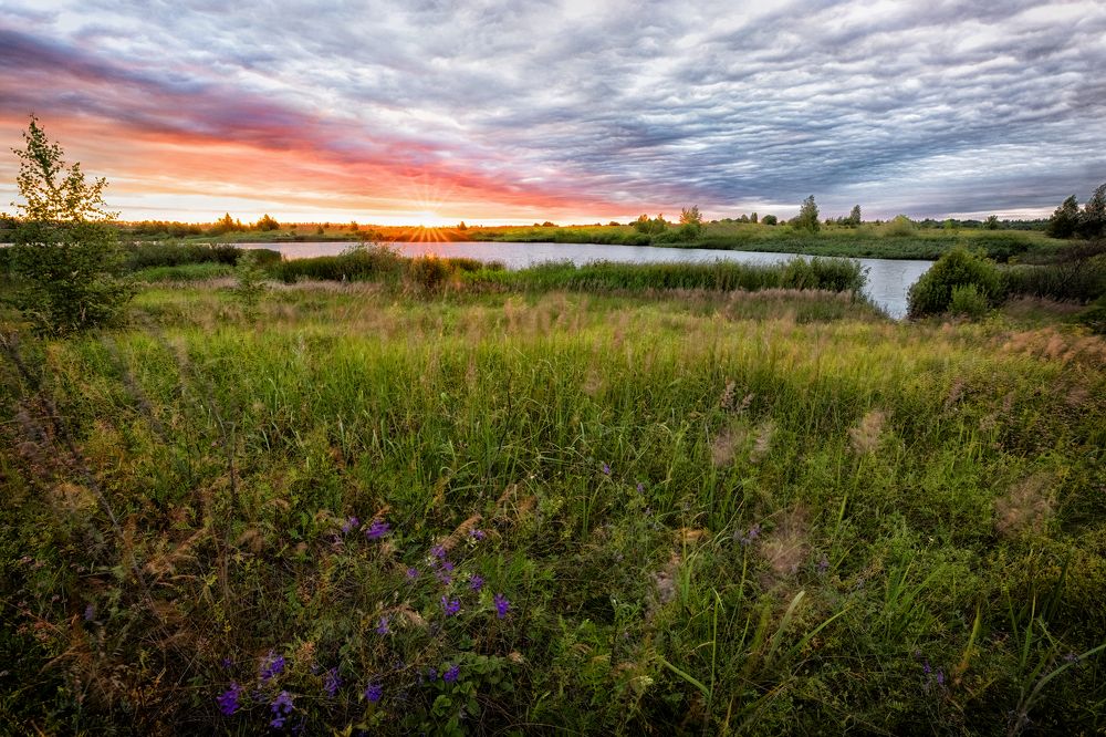 Photograph by Николай Борисов