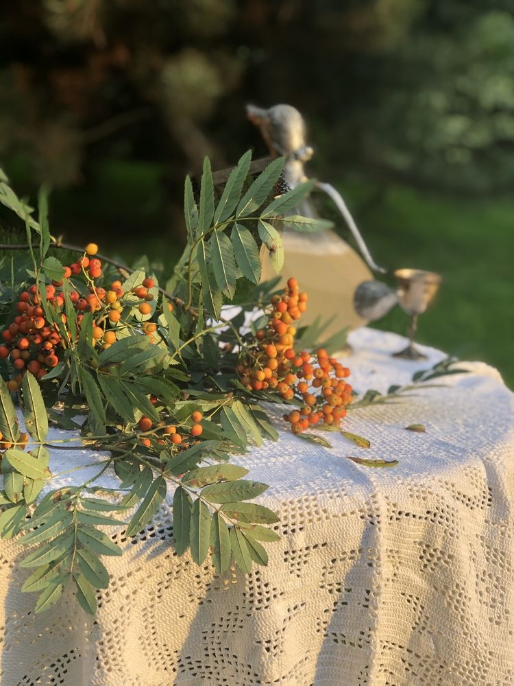 Photograph by Наталья