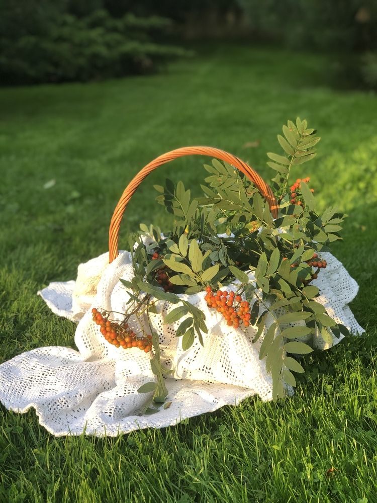 Photograph by Наталья