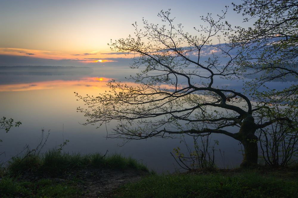 Photograph by Александр Кыров