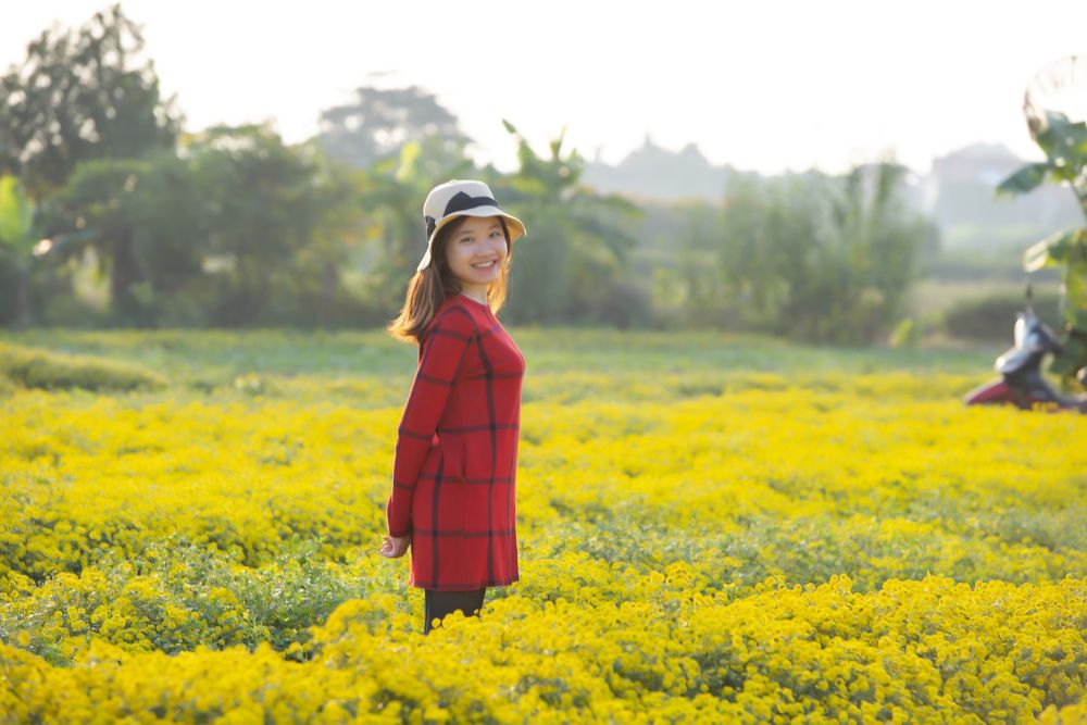 Woman in the field of chrysanthemums