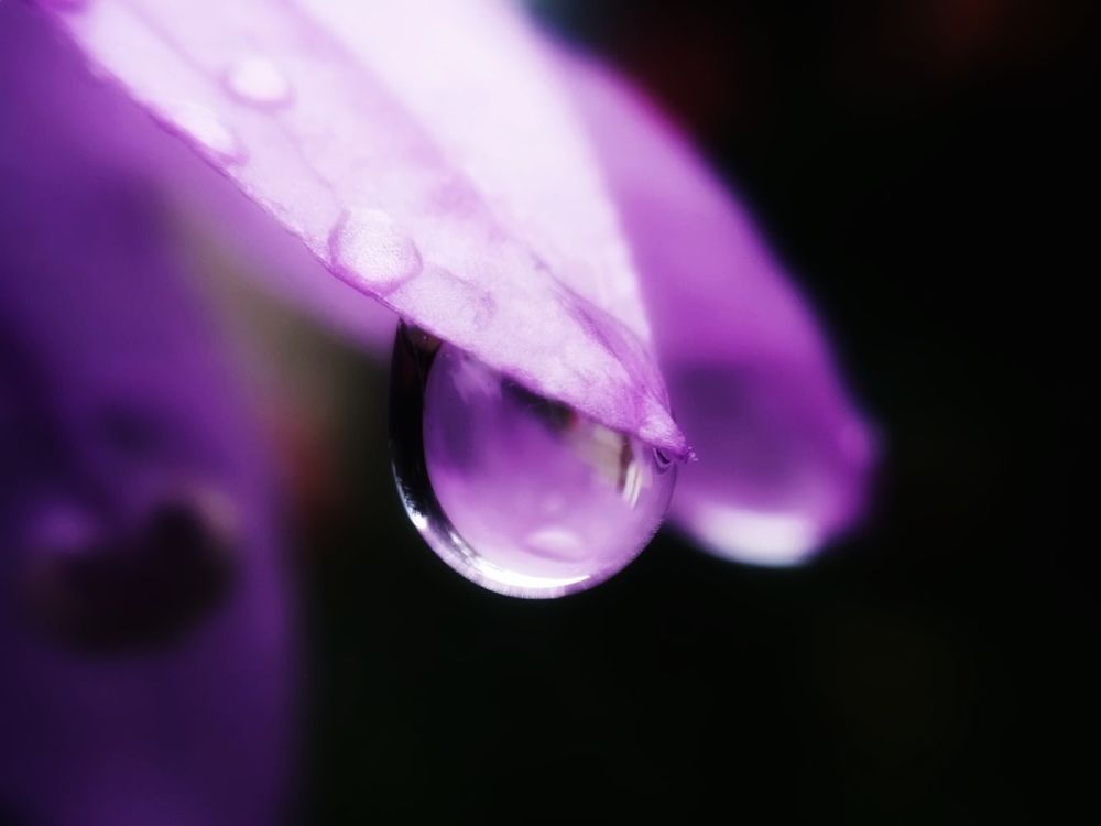 Photograph by Любовь Коровацкая