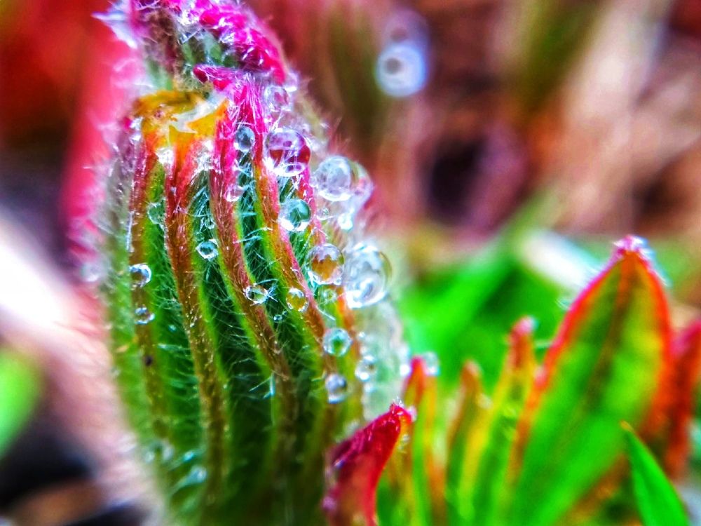 Photograph by Любовь Коровацкая