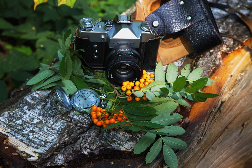 Мгновение...!)