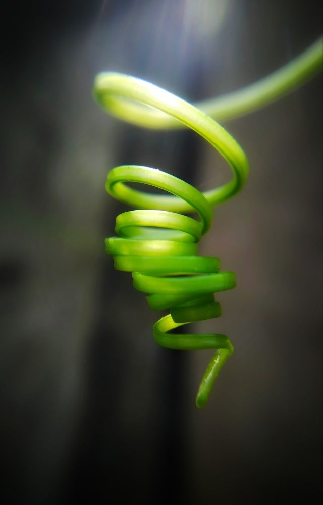 Photograph by Любовь Коровацкая